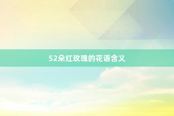 52朵红玫瑰的花语含义